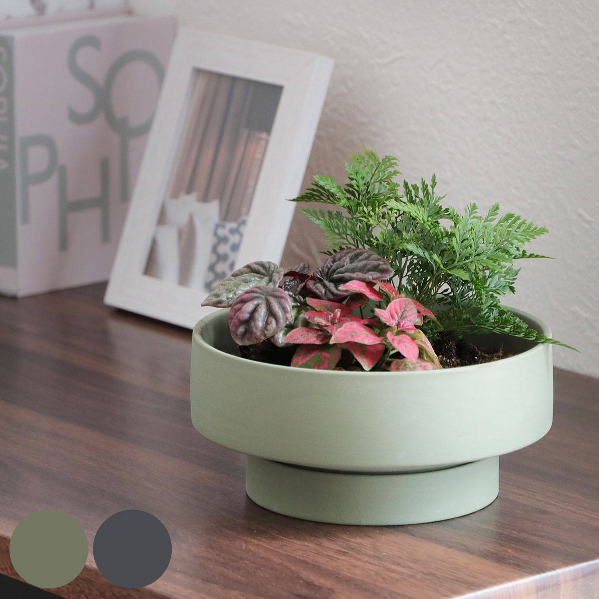 植木鉢 Stef セラミック （ プランター プラントポット 植物用ポット 鉢 花器 鉢カバー ポット 丸 受皿 ）
