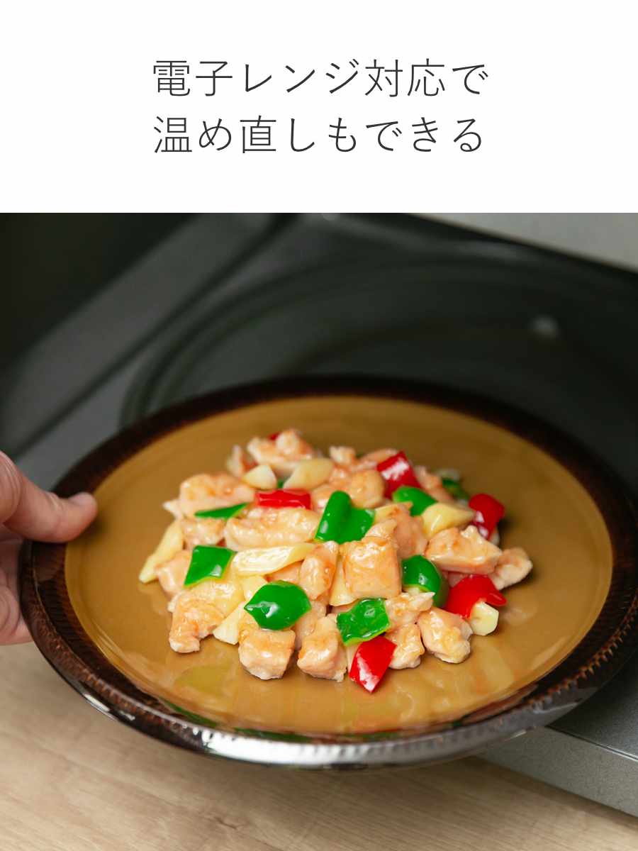 aito製作所 食器 10点セット 2色 料理を引き立てる食器セット 新生活