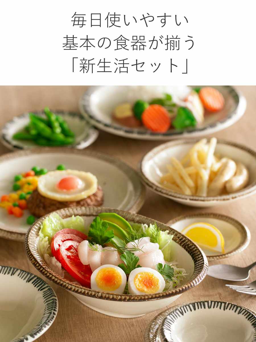 aito製作所 食器 10点セット 2色 料理を引き立てる食器セット 新生活