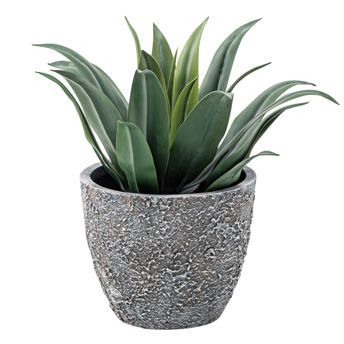 東谷 プランター グリーンベース 直径31×高さ25cm （ 植木鉢 プラント