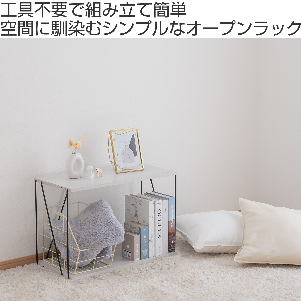 不二貿易（Fuji Boeki） EZBO ワイヤーラック 2段 幅61cm 工具不要