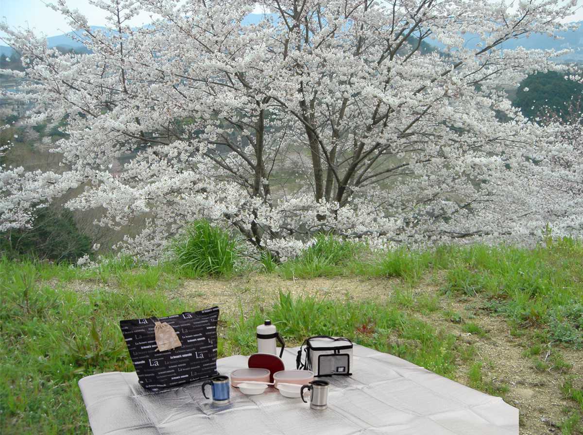 レジャーシート アルミ 5人用 6人用 180×180cm 2畳 行楽お花見シート