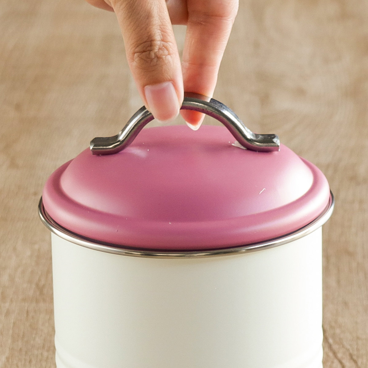 SALUS 保存容器 900ml バーネットキャニスター バイカラー （ セイラス