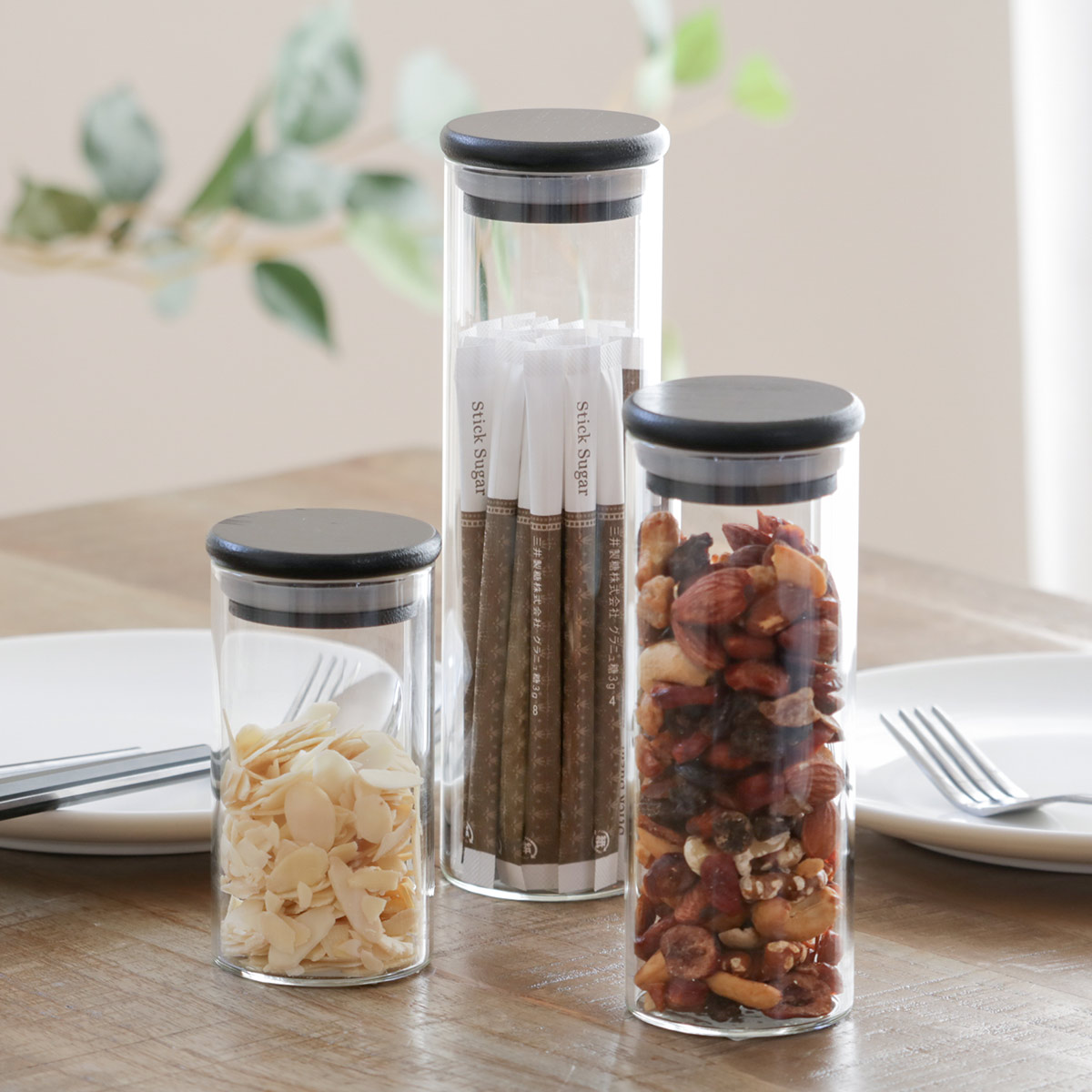 SALUS 保存容器 ボトルキャニスター M SALUS （ セイラス ガラス 耐熱