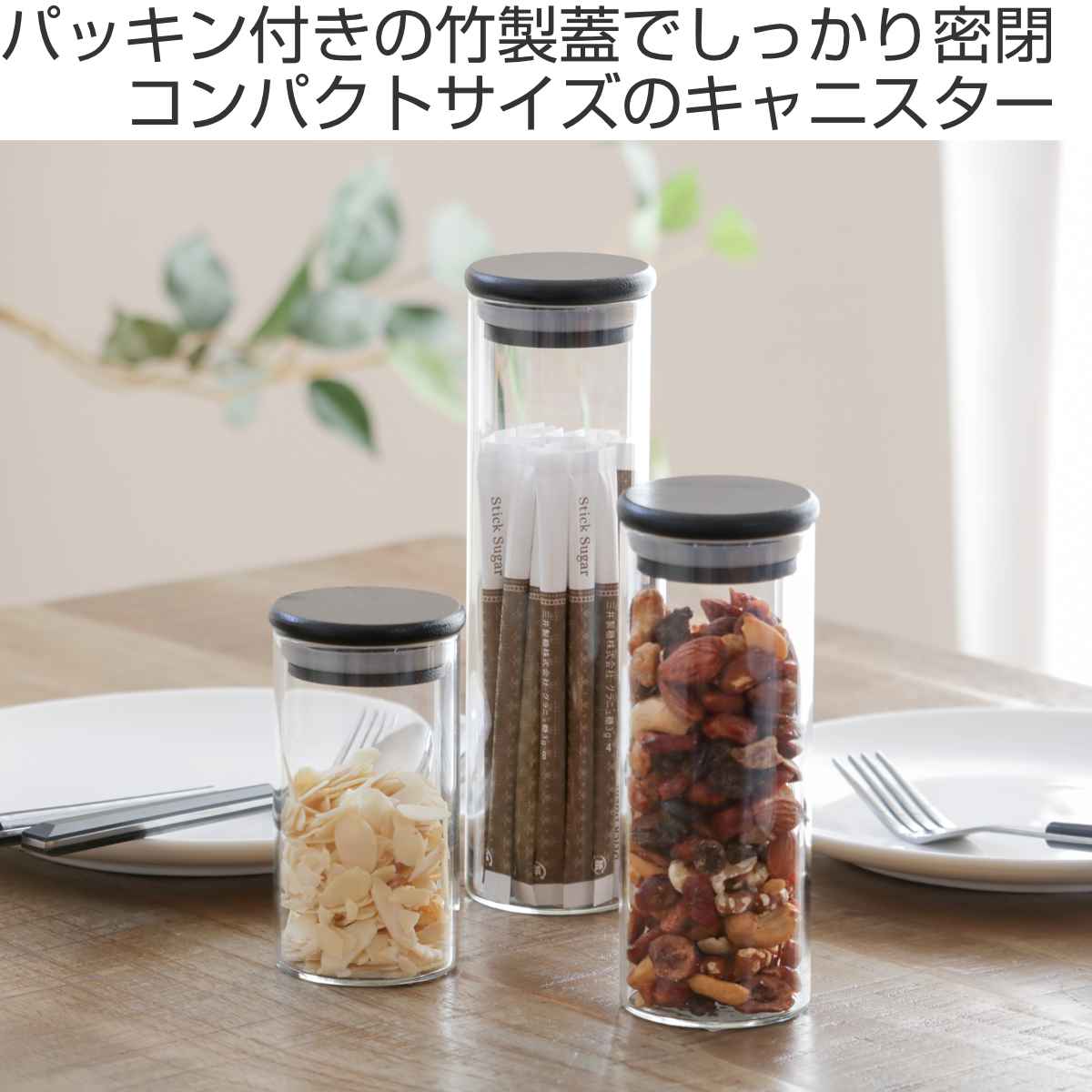 SALUS 保存容器 ボトルキャニスター L SALUS （ セイラス ガラス 耐熱