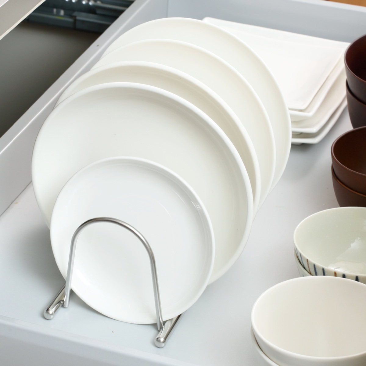 SALUS お皿立て デイリー ディッシュスタンド （ セイラス ステンレス