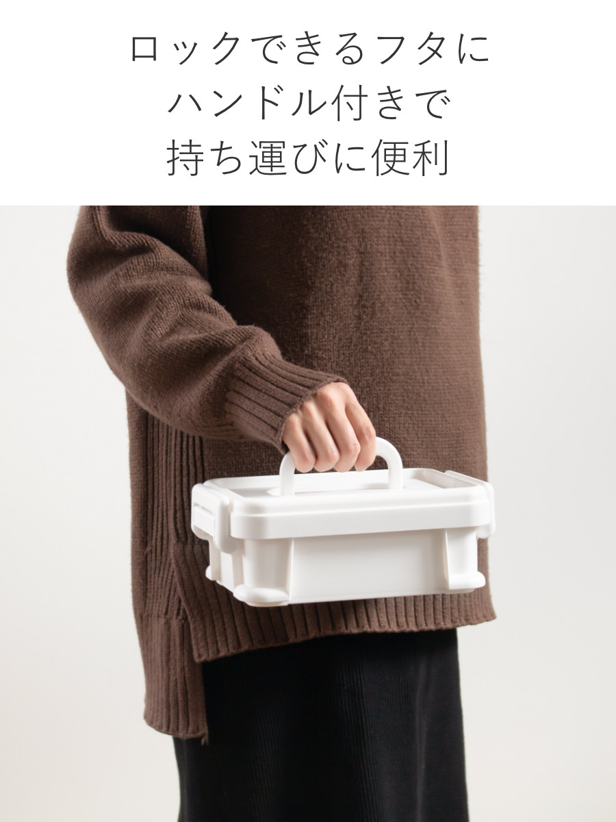 SANKA 収納ボックス ナチュラトラックス 幅24.5×奥行17.2×高さ9cm 24S