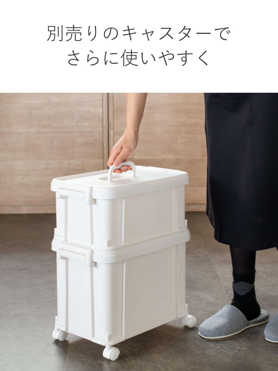 SANKA 収納ボックス ナチュラトラックス 幅38.8×奥行24.6×高さ26cm 39L