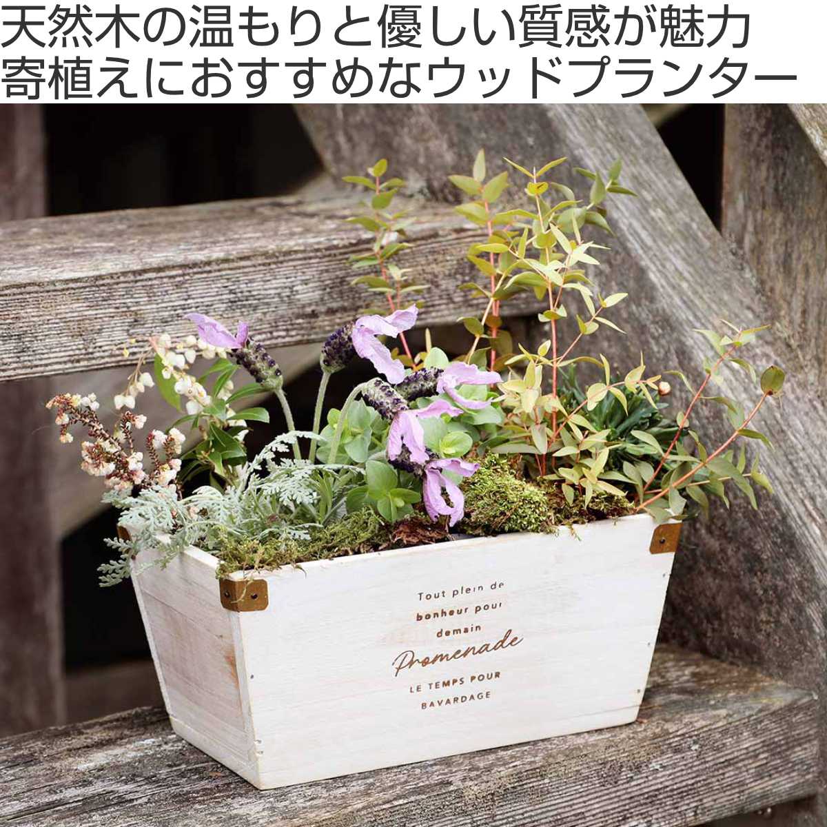 プランター ナチュラルウッドプランター長角 Sサイズ 木製 （ 植木鉢