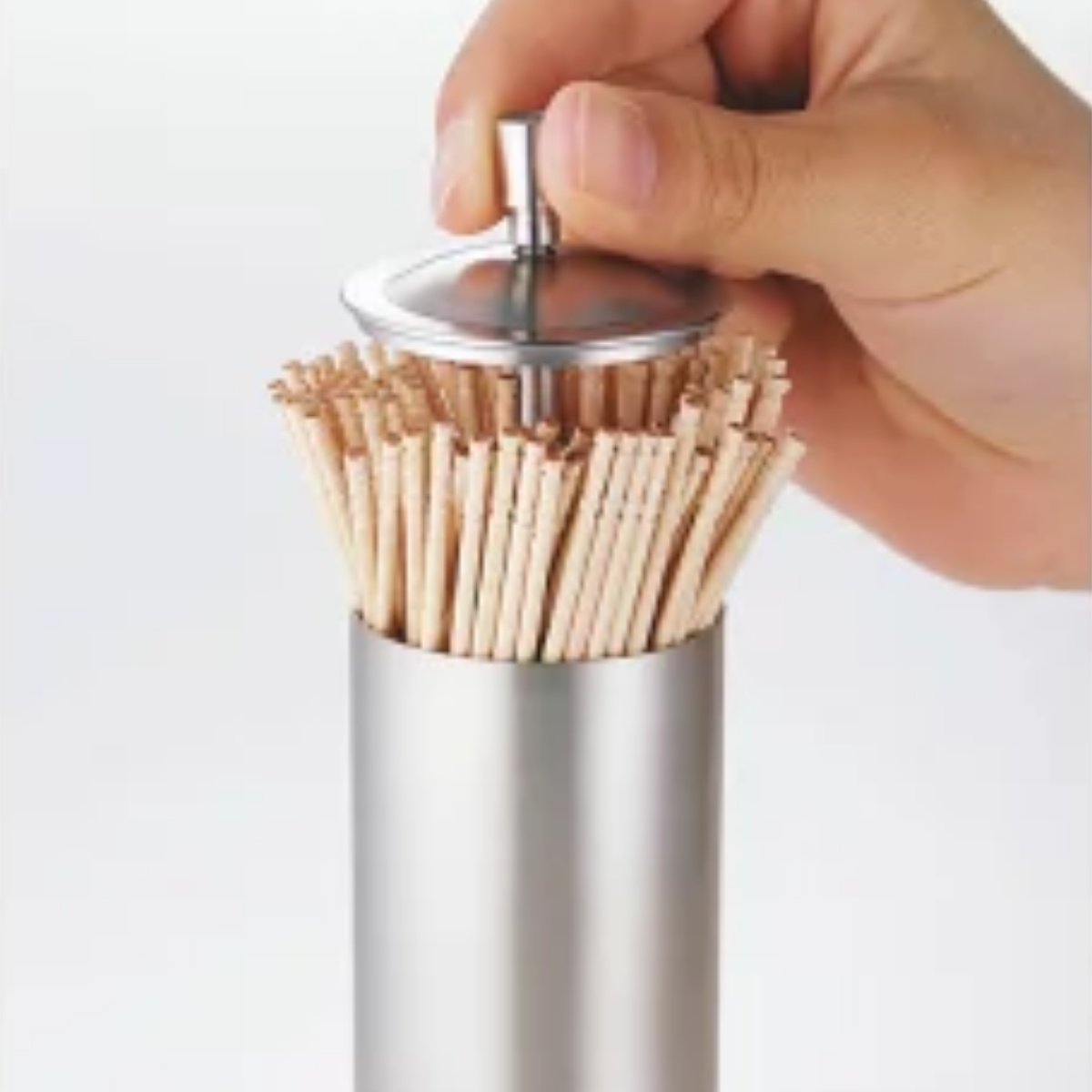 SALUS 爪楊枝入れ マトリス つま楊枝入れ （ セイラス ステンレス