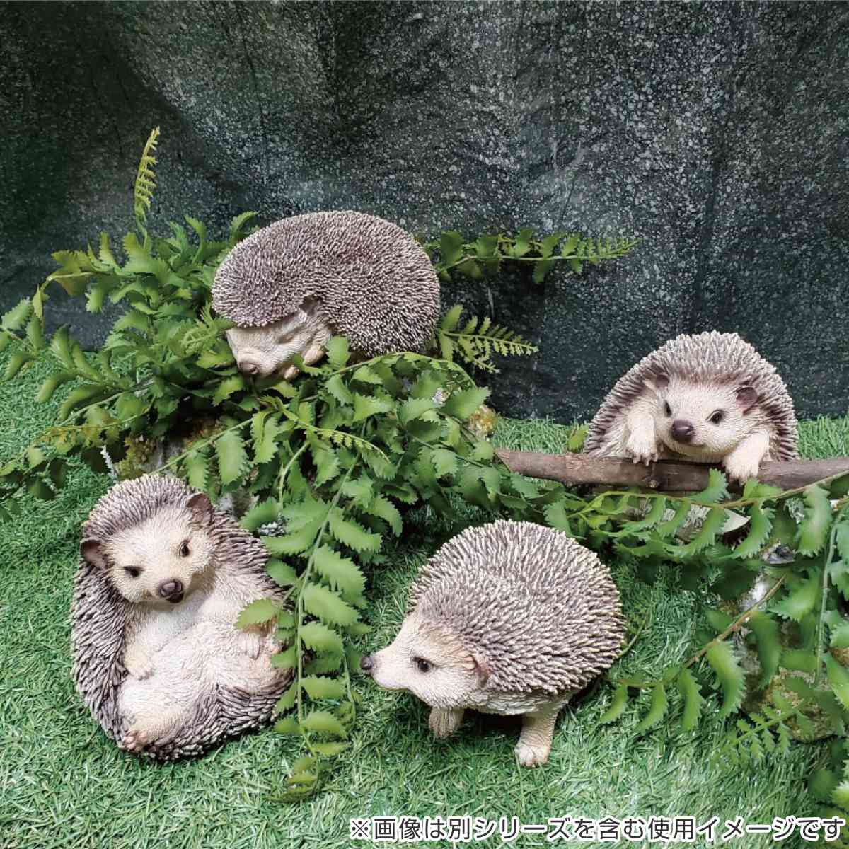 オーナメント ハリネズミ おやすみ （ 置物 ガーデンオーナメント