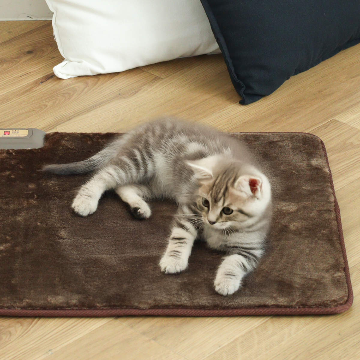 ワタナベ工業 ホットカーペット ホットクッション 58×58cm （ 座布団