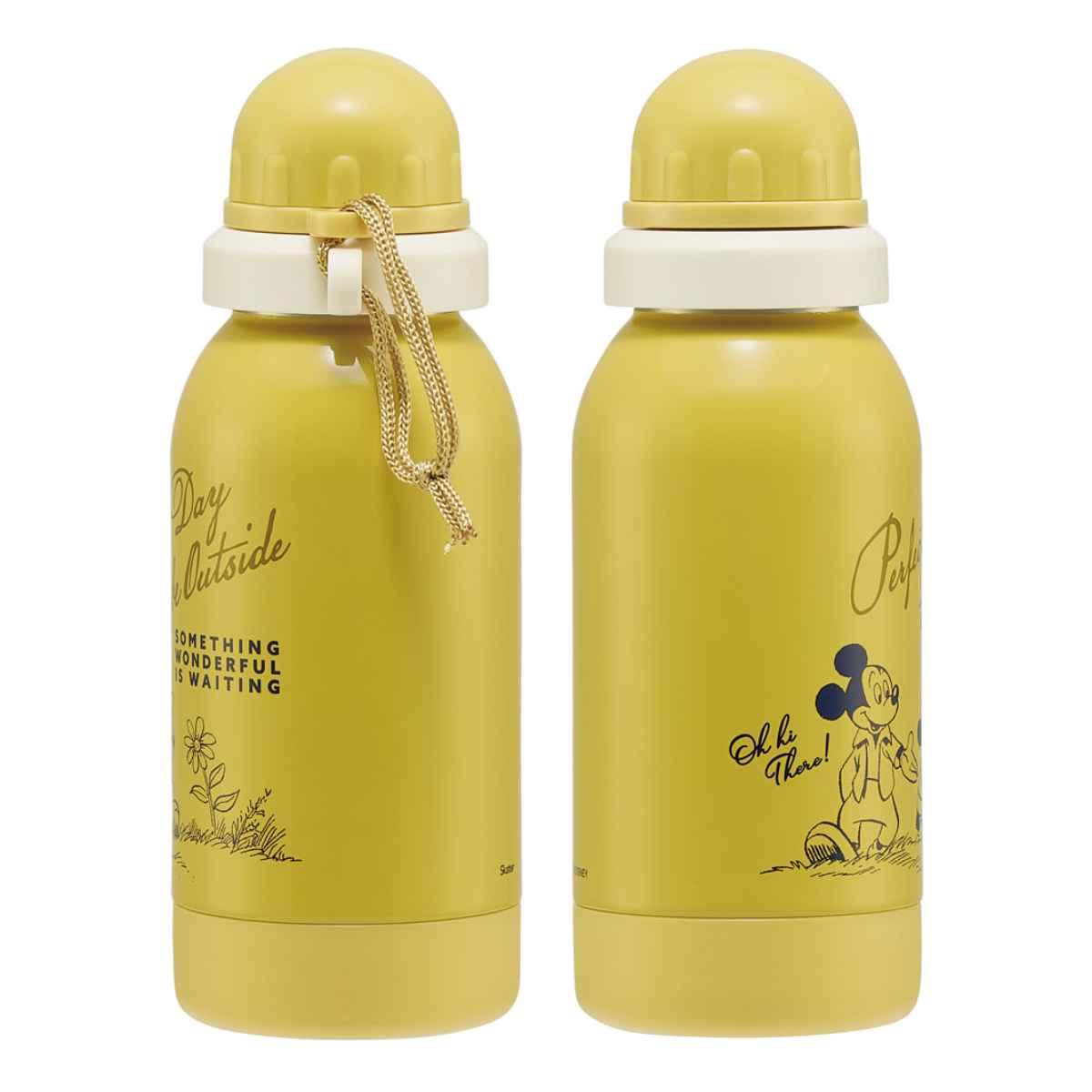 スケーター 水筒 直飲み 580ml 1層 ステンレス ボトル 常温用