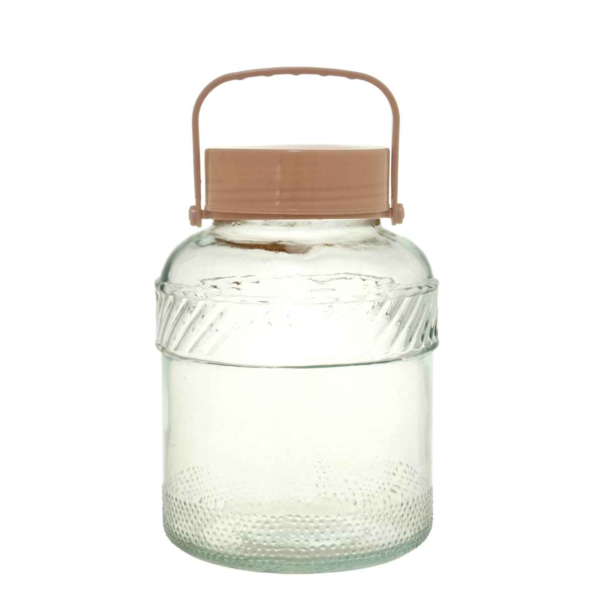 保存容器 ぷち漬け 保存瓶 1L （ ガラス 密閉 取っ手付き 果実酒びん