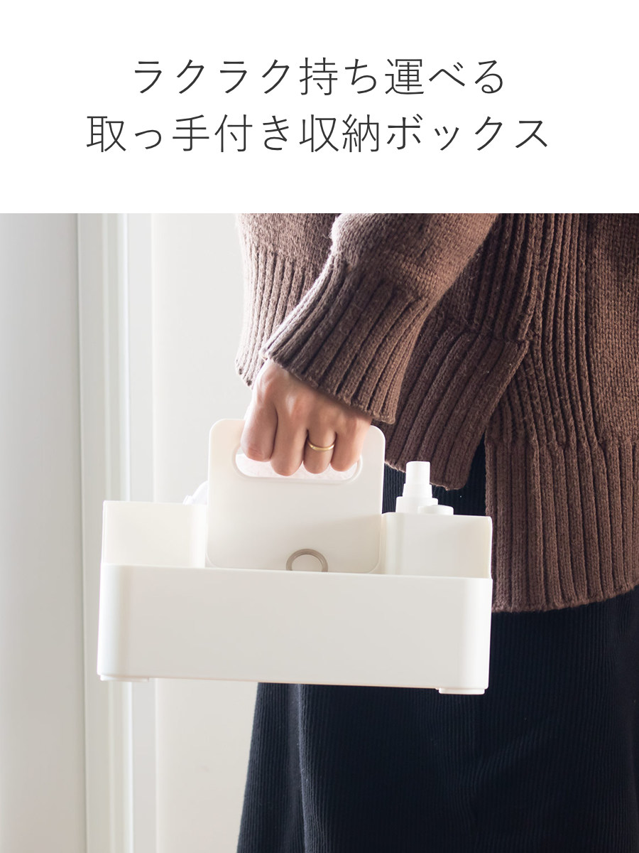 SANKA 小物収納 ナチュラ ツールピット M ハンドル付き （ 収納ケース