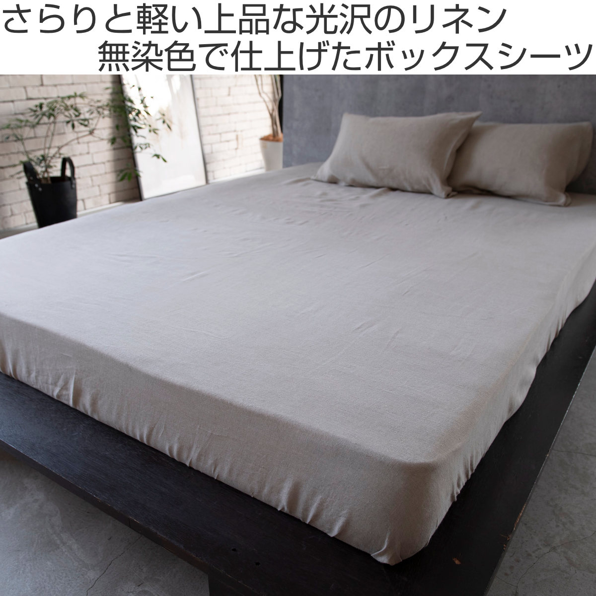 420909-re-img.jpg
