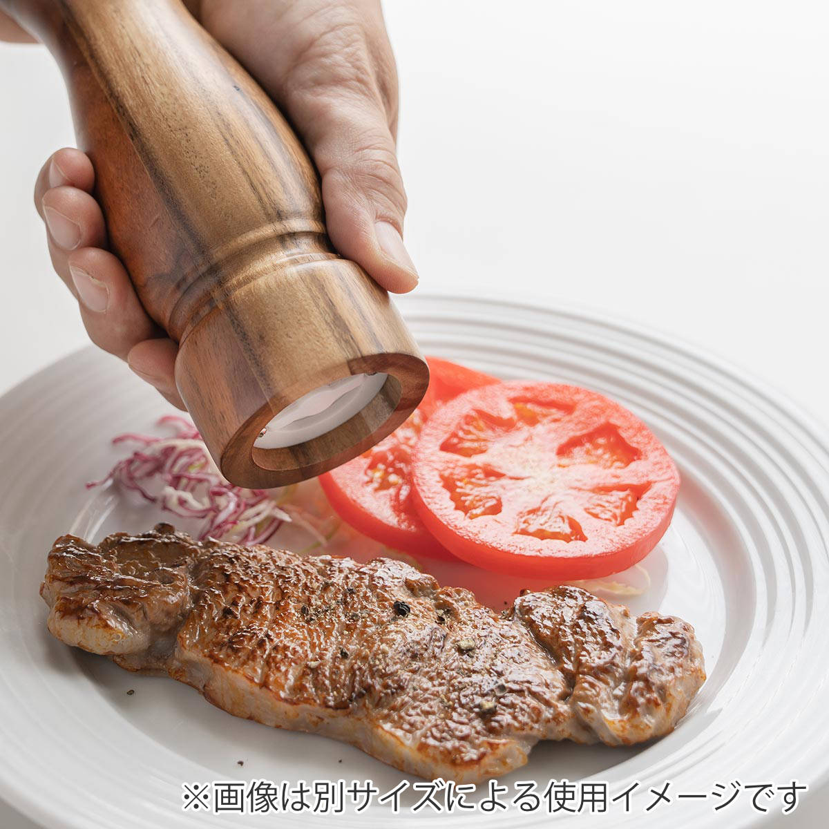 胡椒挽き S アカシア製 ペッパーミル SALUS （ セイラス ソルトミル