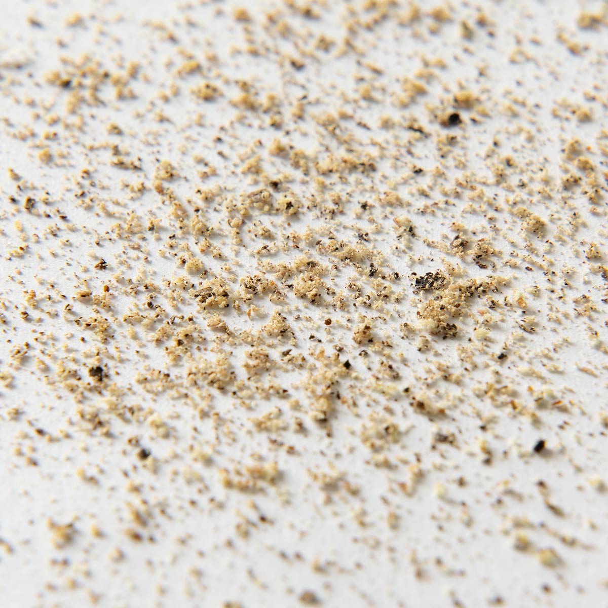 胡椒挽き S アカシア製 ペッパーミル SALUS （ セイラス ソルトミル