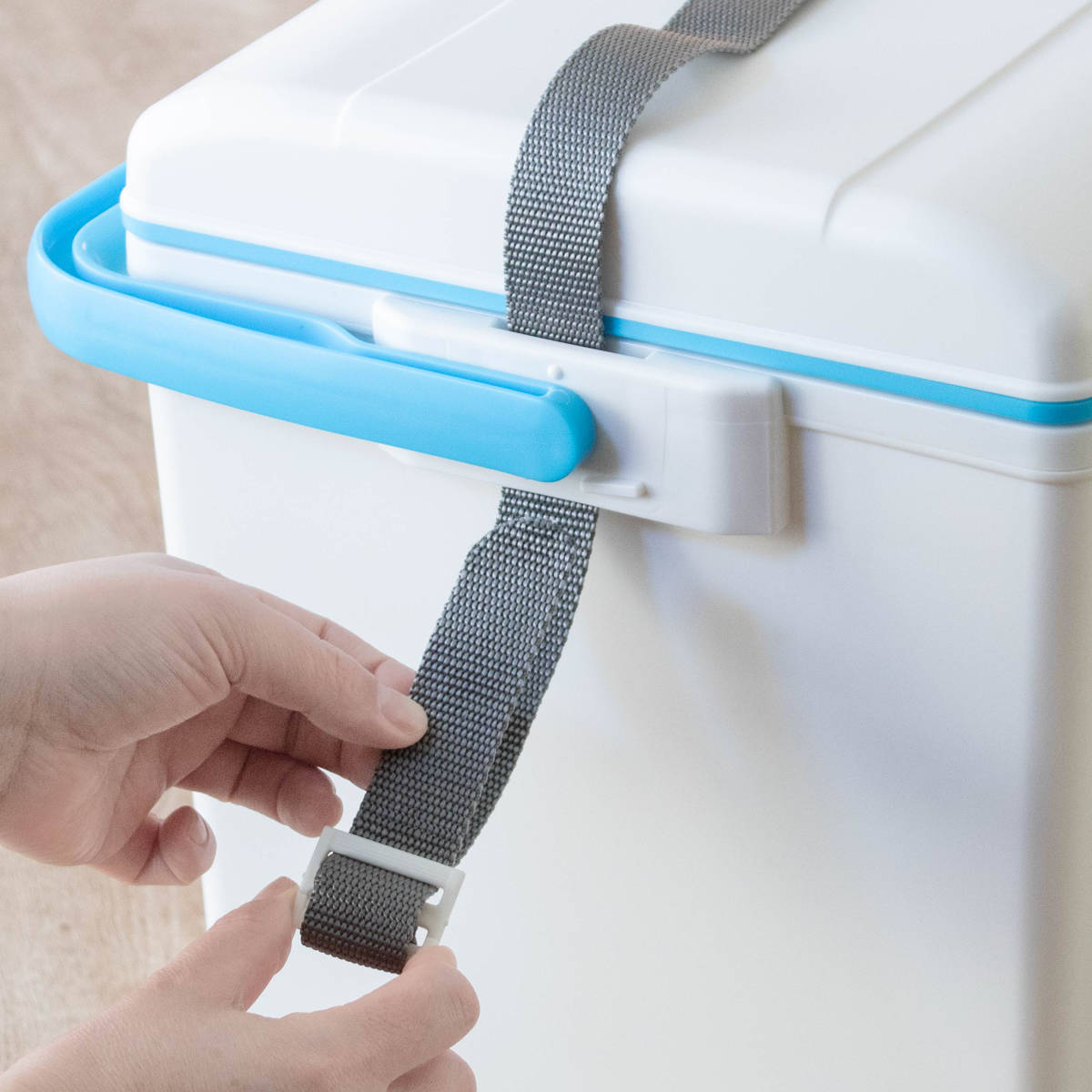 SANKA クーラーボックス 24.5L デオライド25 消臭 （ 保冷 クーラーBOX