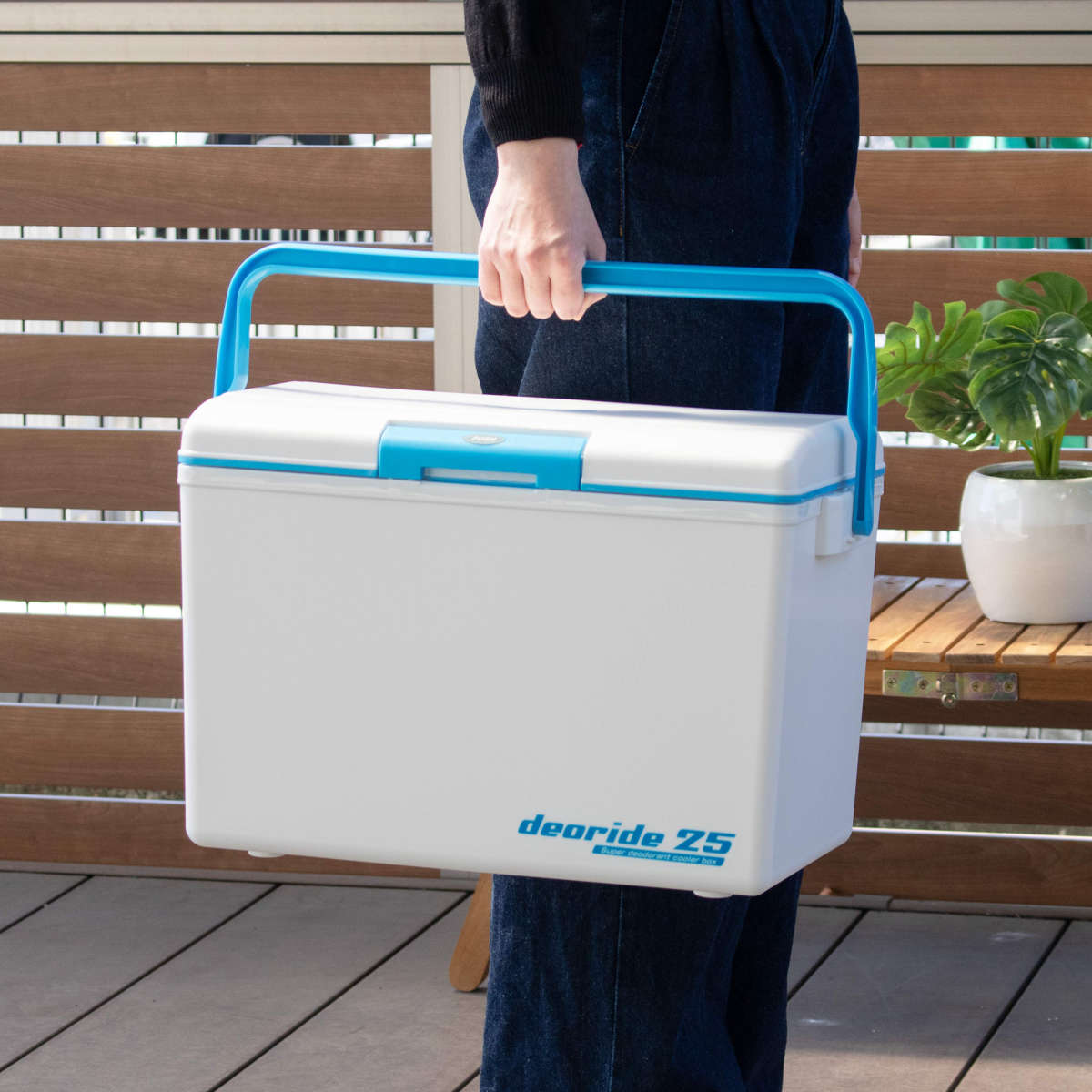 SANKA クーラーボックス 24.5L デオライド25 消臭 （ 保冷 クーラーBOX