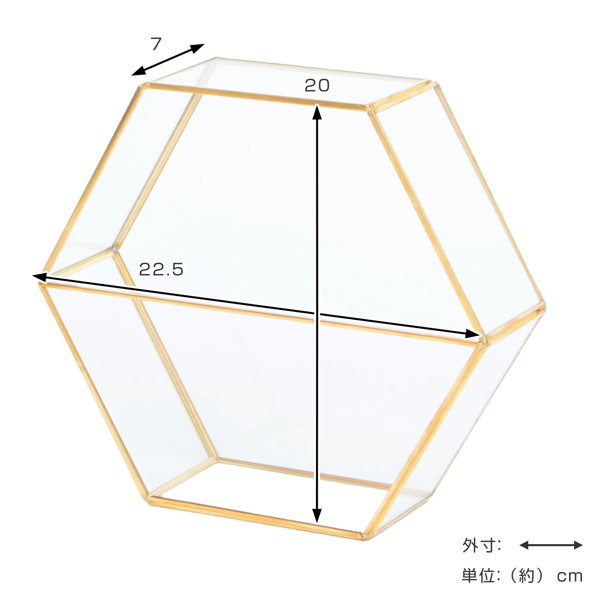 花瓶 フレームベース ヘキサゴン （ 花びん 花器 フラワーベース