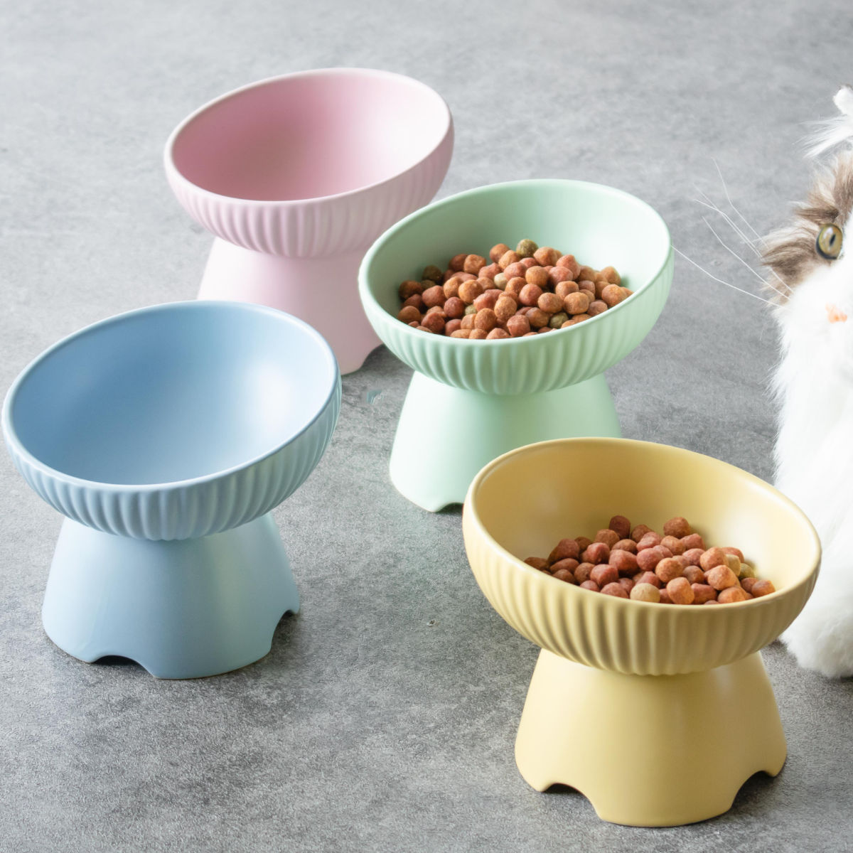フードボウル 犬 猫 高さがある 陶器 ペット （ 食器 陶器製 エサ皿 餌 