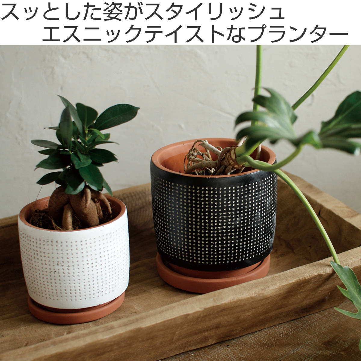 植木鉢 ドットプランター ホワイト Sサイズ （ プランター プラント