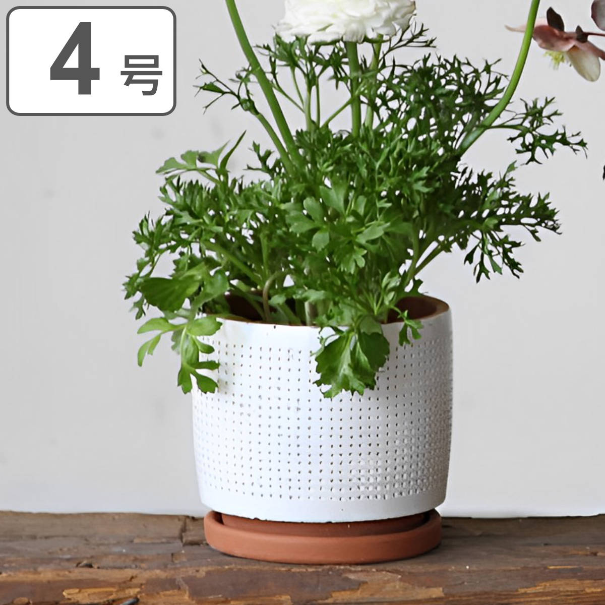 植木鉢 ドットプランター ホワイト Sサイズ （ プランター プラントポット 植物用ポット 鉢 花器 鉢カバー ポット セメント 4号鉢 ）