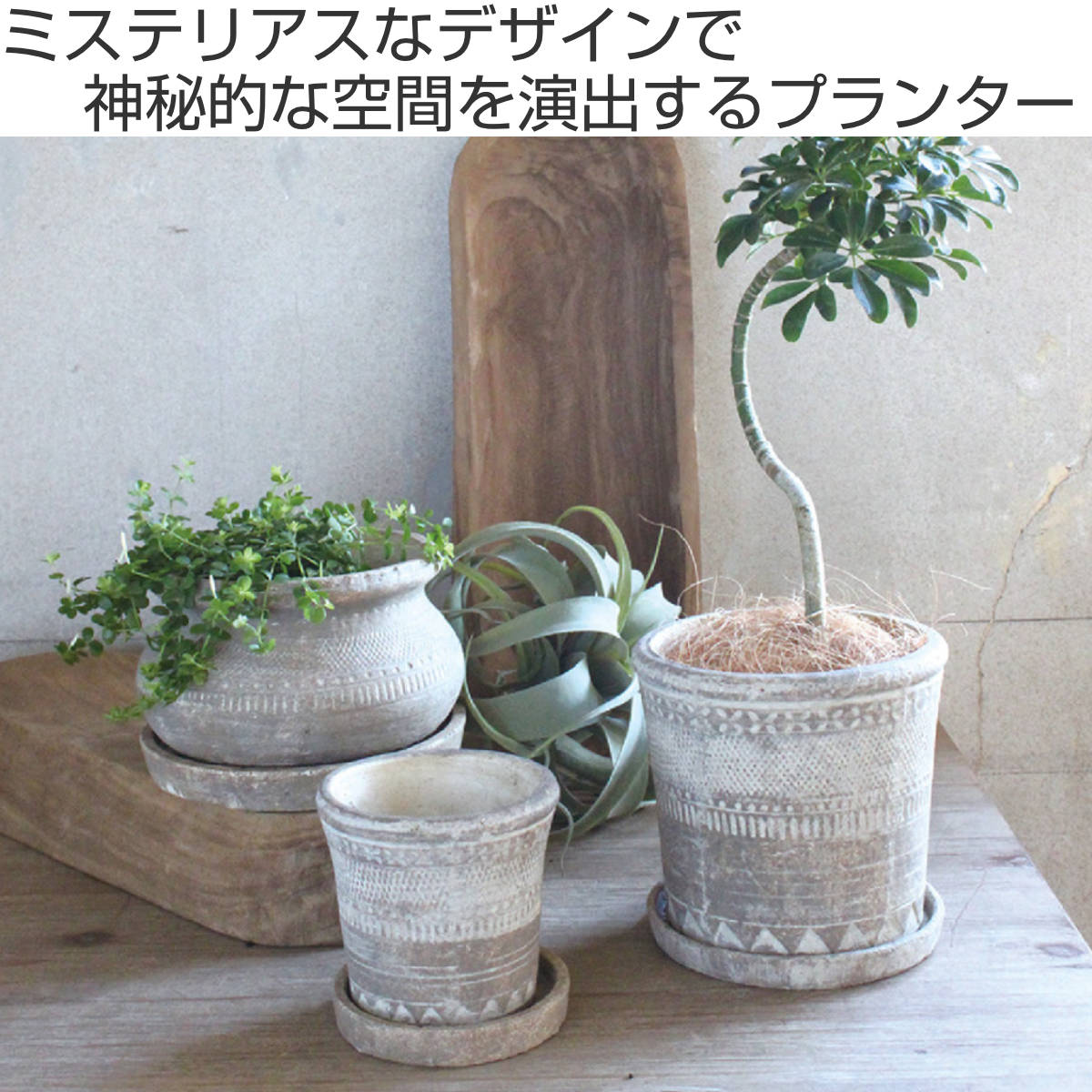SPICE of Life 植木鉢 オリンポスプランター Sサイズ SPICE of Life 植木鉢 オリンポスプランター Sサイズ