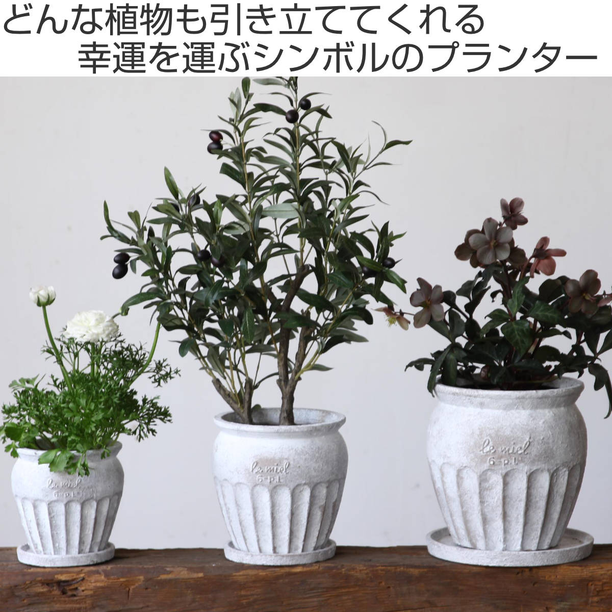 超人気新品 SPICE プラント （ Sサイズ プランター HONEYBEE 植木鉢 Life of 鉢・プランター