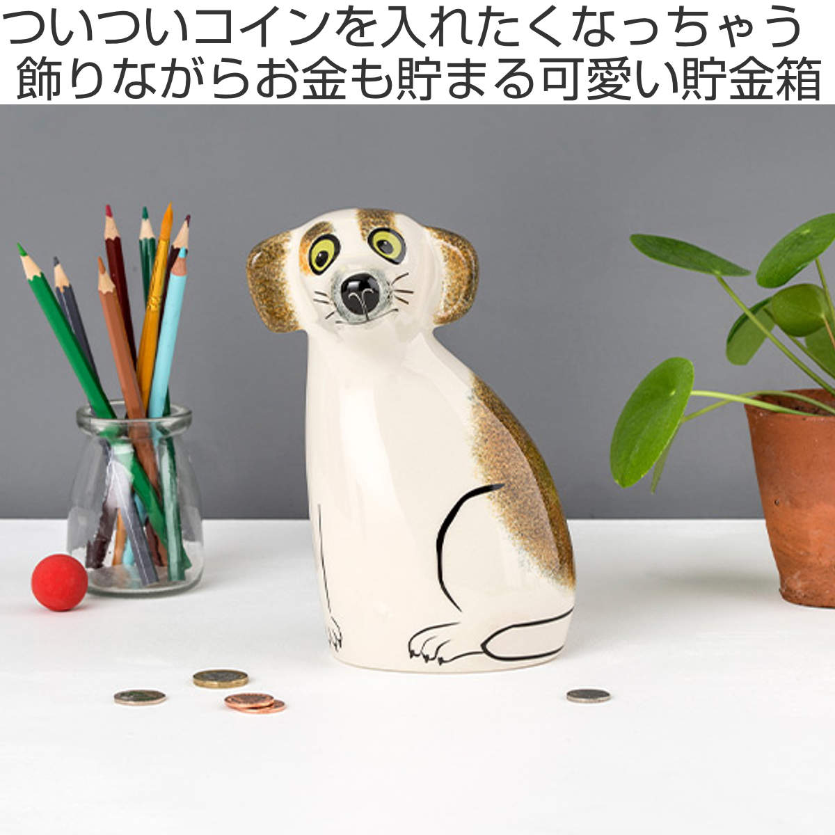 貯金箱 Hannah Turner Money box Dog 犬 （ ハンナターナー