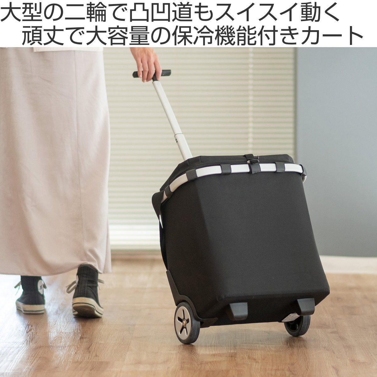 reisenthel（ライゼンタール） ショッピングカート CARRYCRUISER ISO