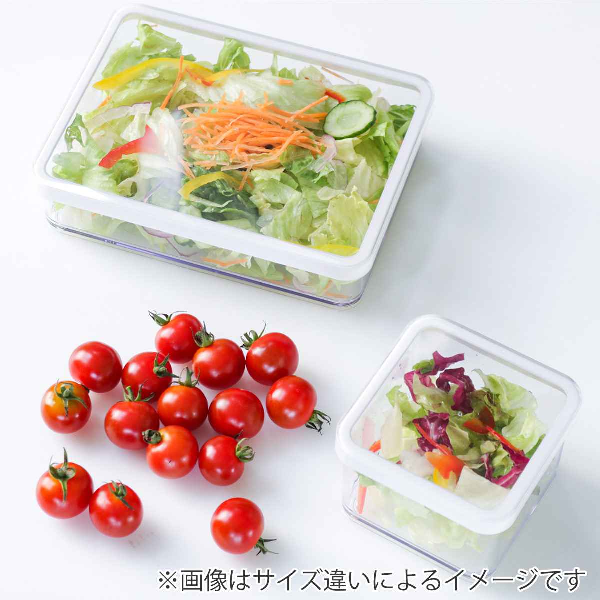 ViV（ヴィヴ） 保存容器 1.5L VIVコンテナ スクエア 1500 viv