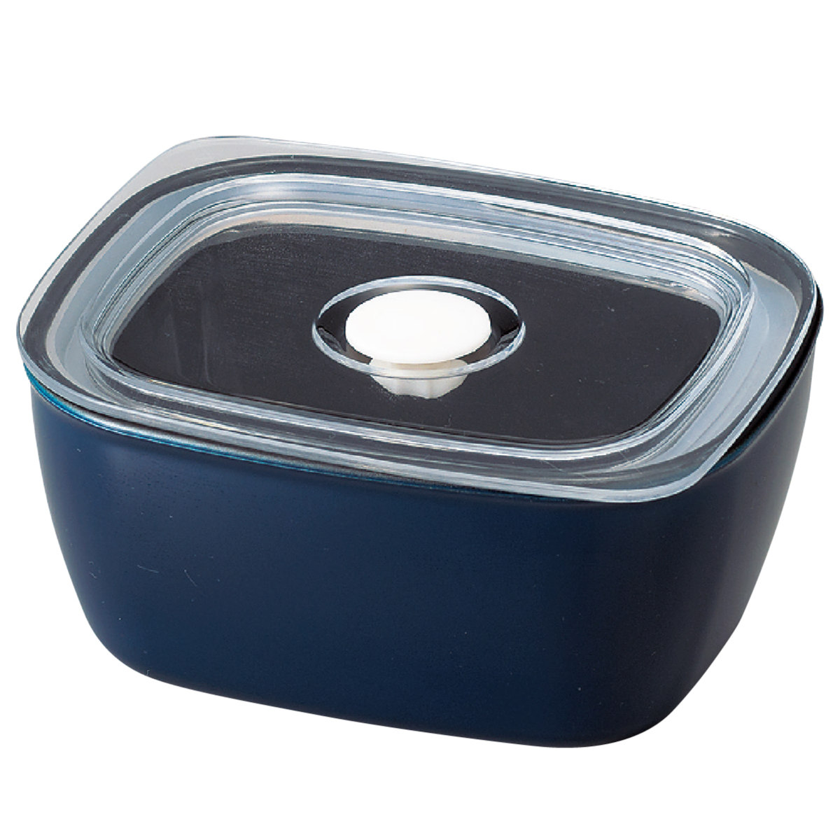 HAKOYA 保存容器 450ml さっと洗える保存容器 M 450 （ 密閉