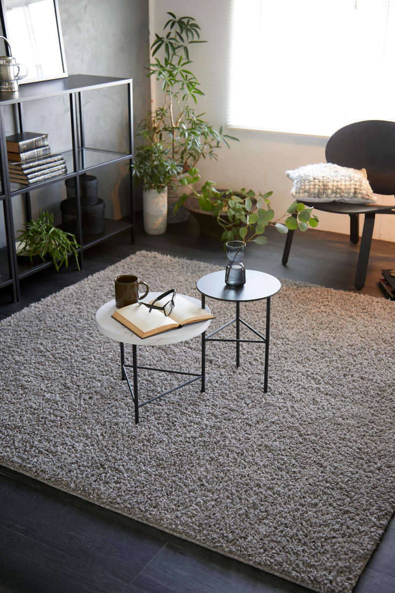 スミノエ ラグ ルーパス 190×240cm 防ダニ アレルブロック シャギー