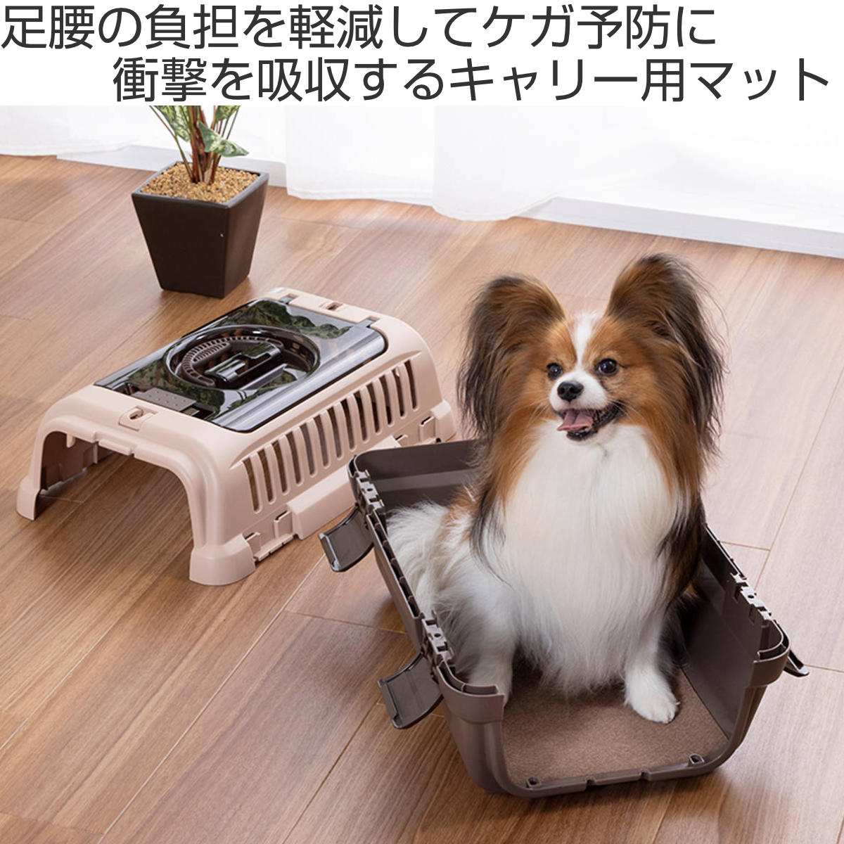 犬 足腰 オファー マット