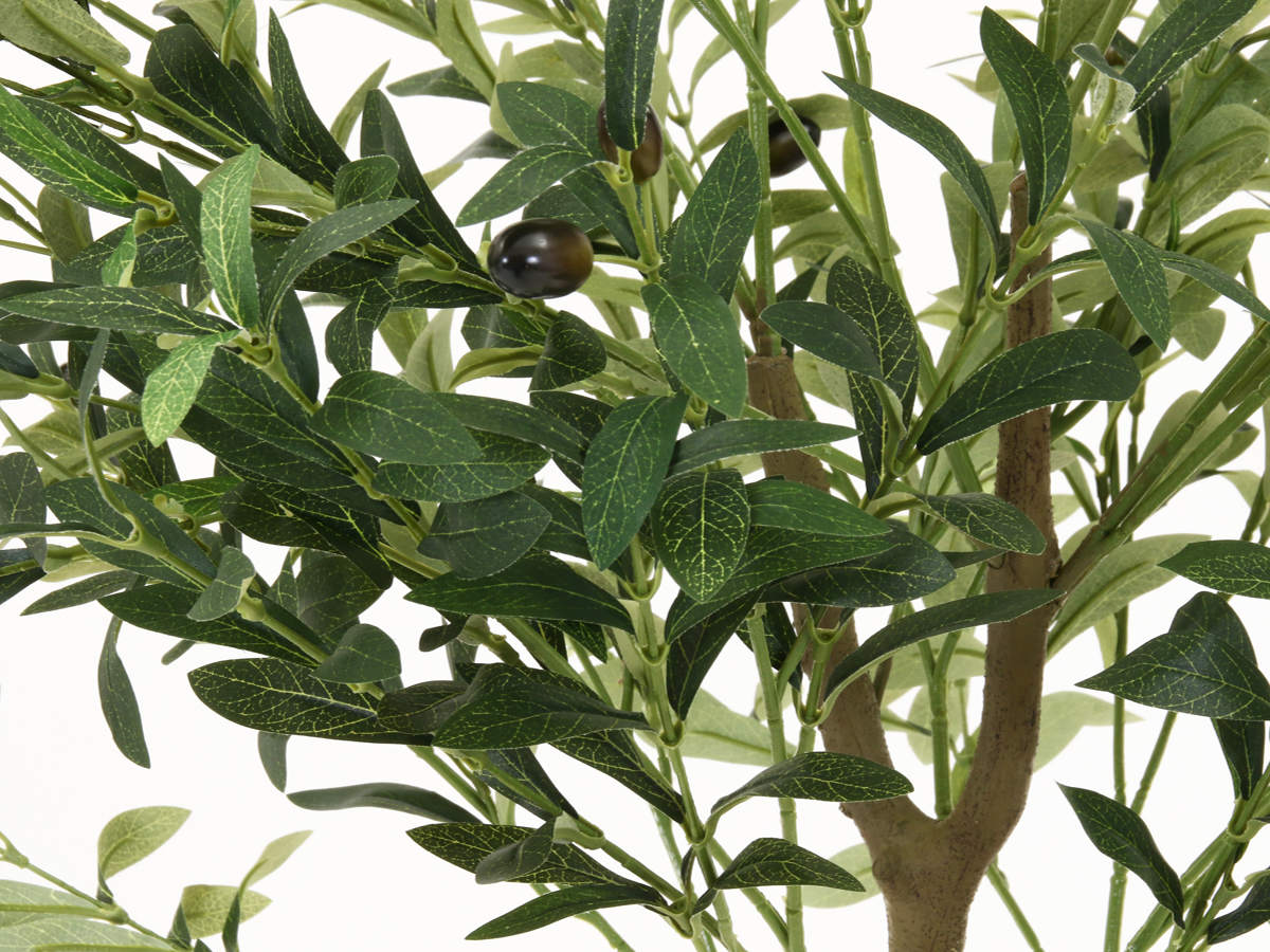 不二貿易（Fuji Boeki） フェイクグリーン オリーブ 高さ150cm