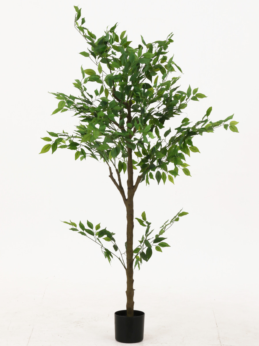 人工観葉植物 フェイクグリーン フィカス150cm Posh Living クラッシック フィカス 150cm - フェイクグリーン専用通販サイト