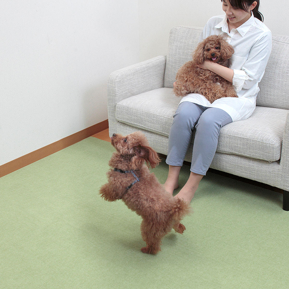 サンコー ペットマット ペット用 床保護マット 60×240cm 滑り止め 犬