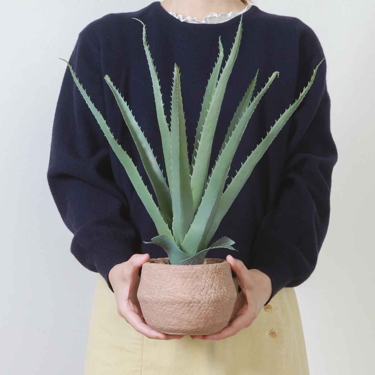 不二貿易（Fuji Boeki） フェイクグリーン アロエ 高さ45cm セメント