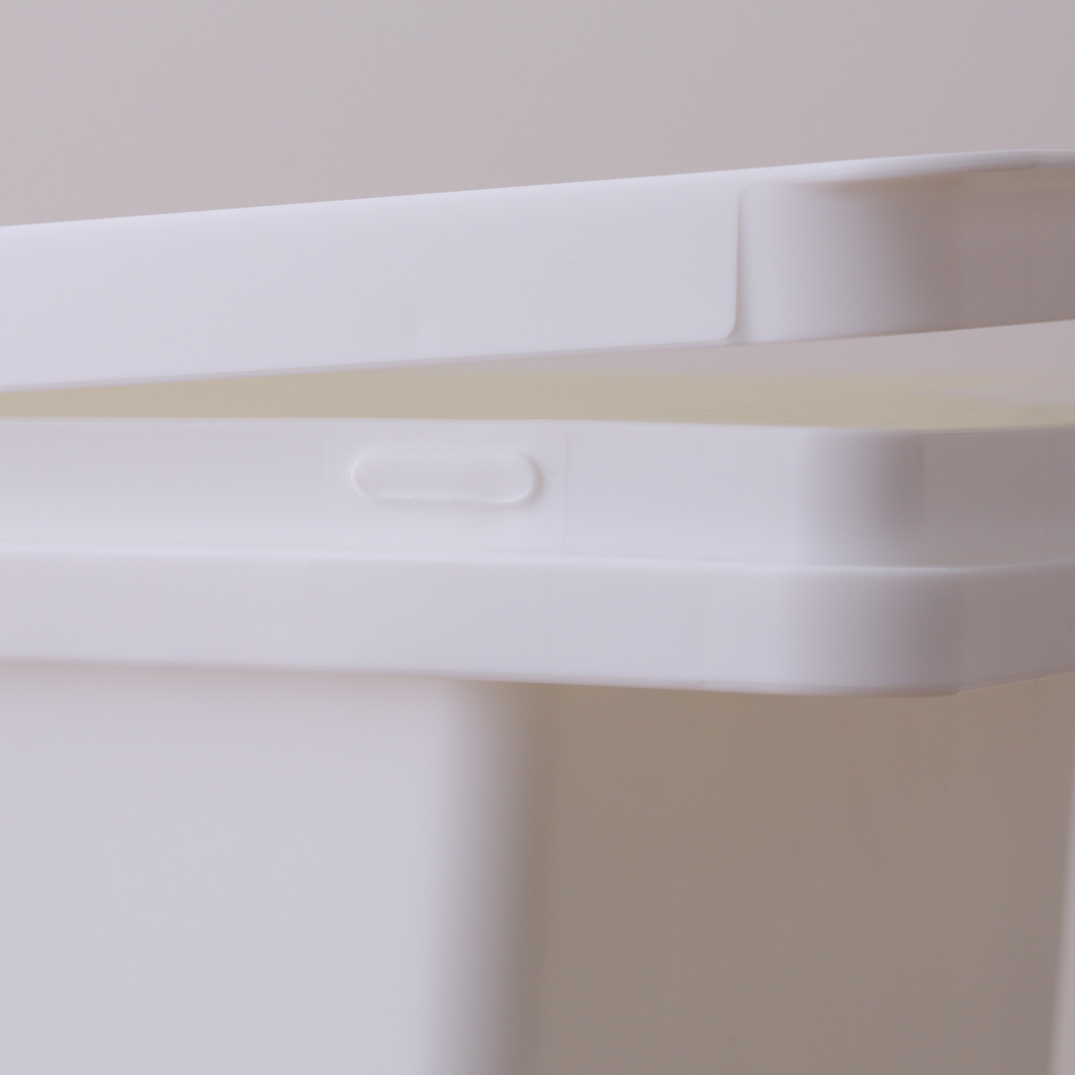 パール金属 米びつ 5kg 袋のまま 保存 5kg用 （ 保存容器 米櫃 ライス