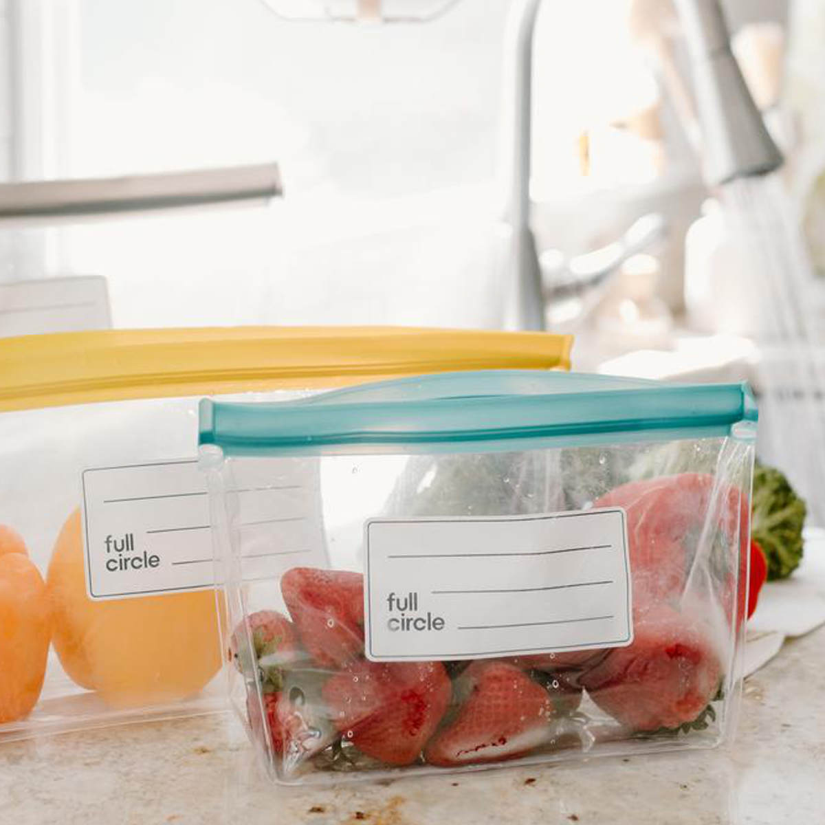 アントレックス 保存袋 ジップタック L full circle （ マチ付き