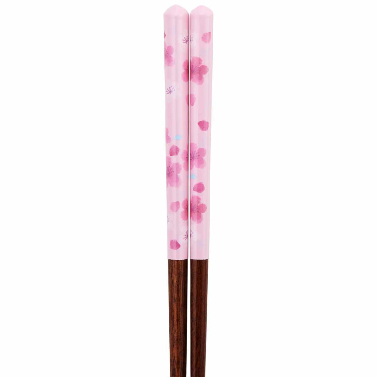 スケーター 箸 塗り箸21cm 桜柄 （ お箸 はし おはし ハシ カトラリー