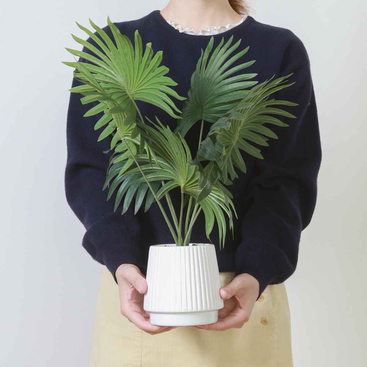 不二貿易（Fuji Boeki） フェイクグリーン パナマソウ 高さ50cm