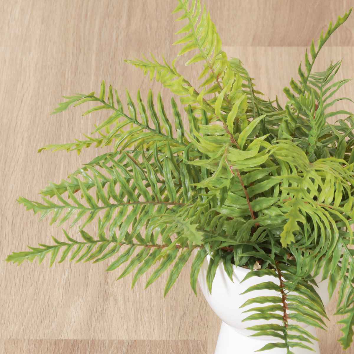 不二貿易（Fuji Boeki） フェイクグリーン シダ 高さ40cm セラミック