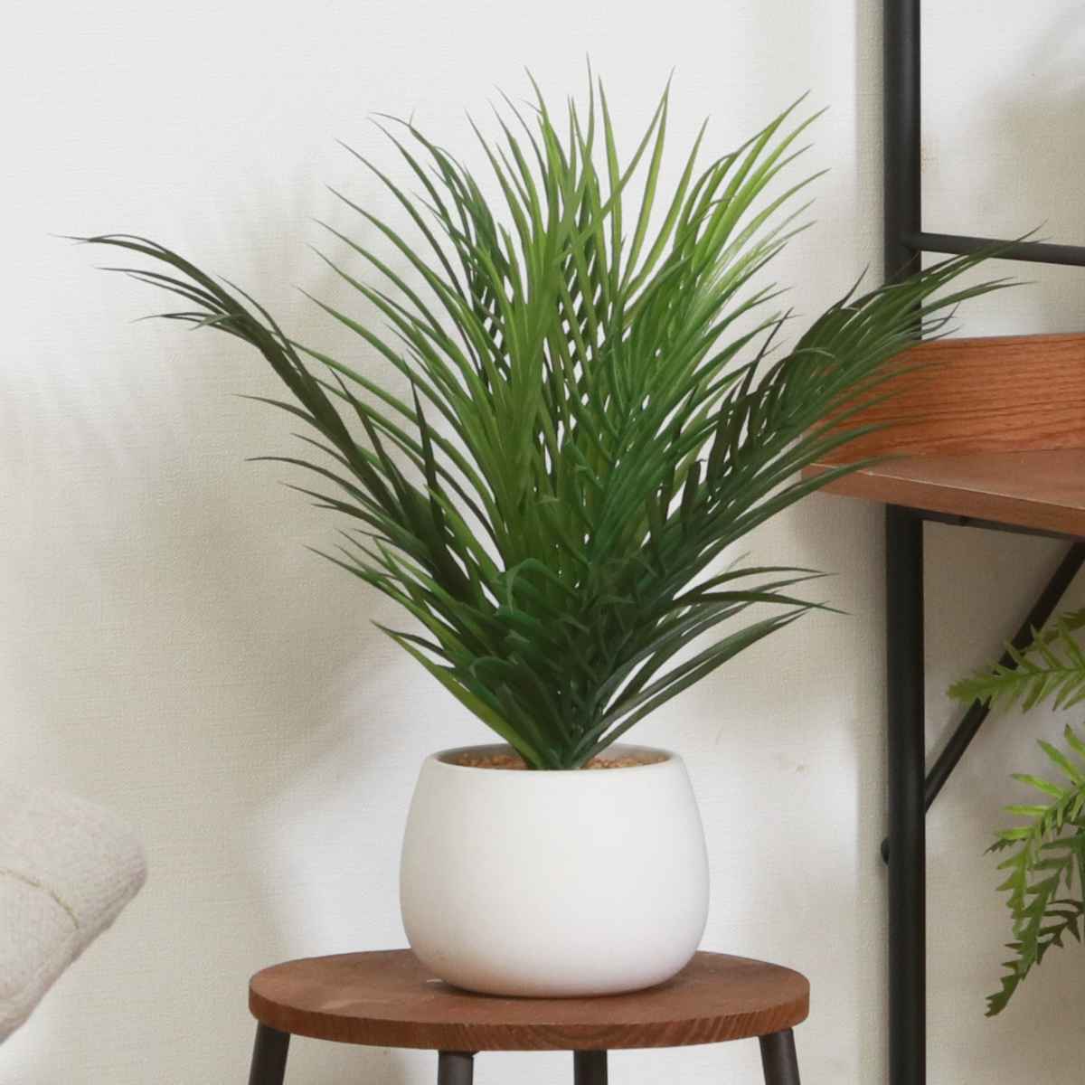 不二貿易（Fuji Boeki） フェイクグリーン ヤシ 高さ36cm セラミック