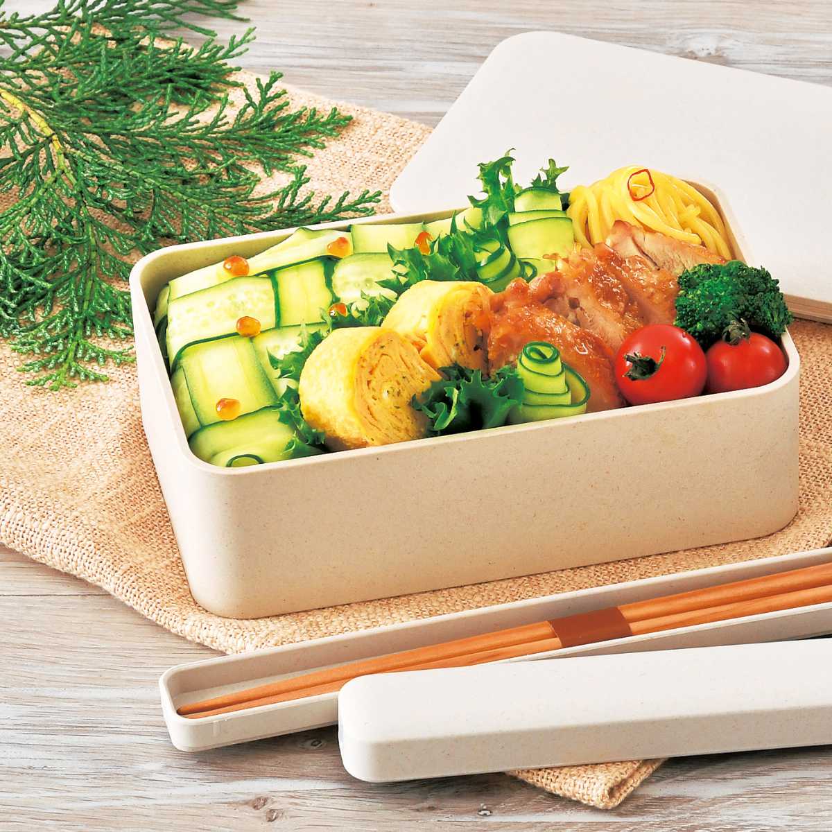 HAKOYA お弁当箱 一段ランチ M ヒノキプラ 1段 800ml （ 弁当箱 ランチ