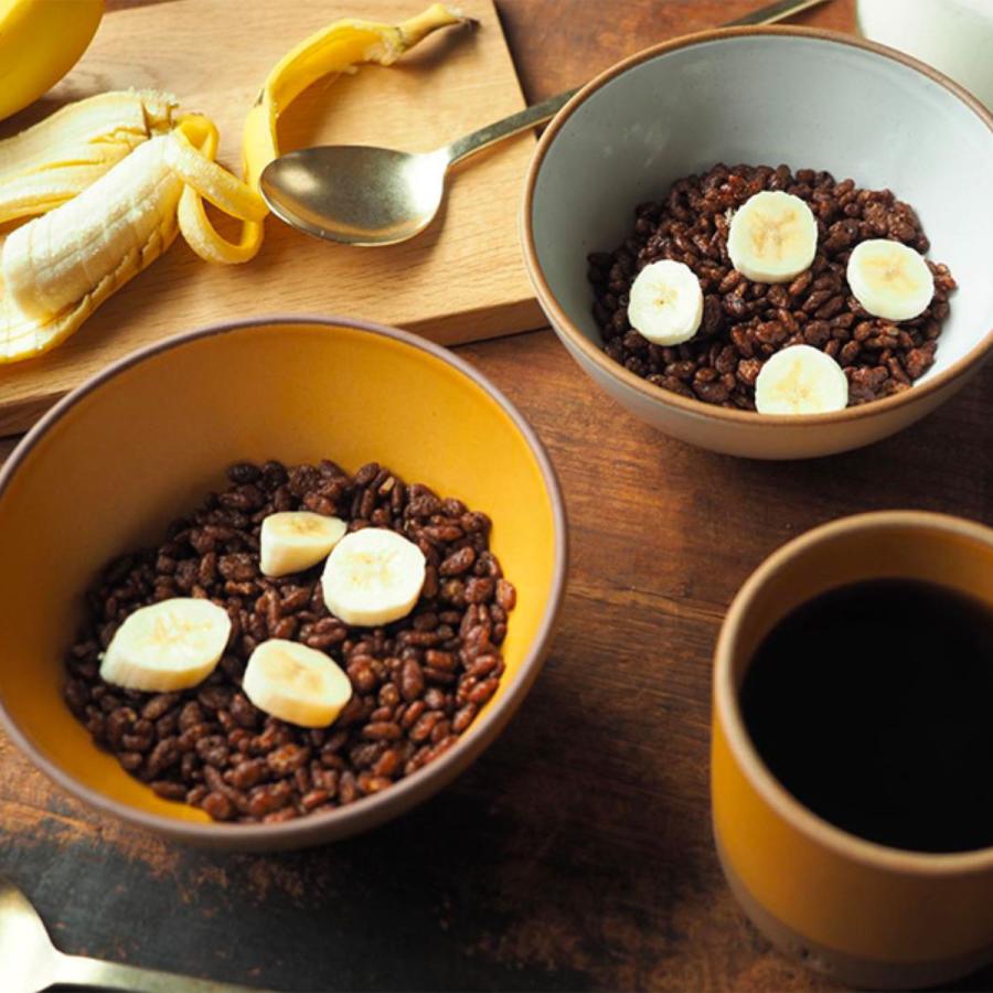 CHIPS マグカップ 350ml BRICKS ブリックス 陶器 美濃焼 （ 食洗機対応