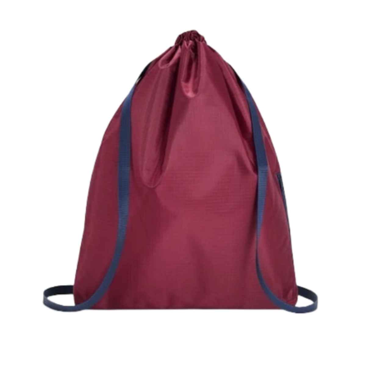 reisenthel リュック MINI MAXI SACPACK （ ライゼンタール 2way