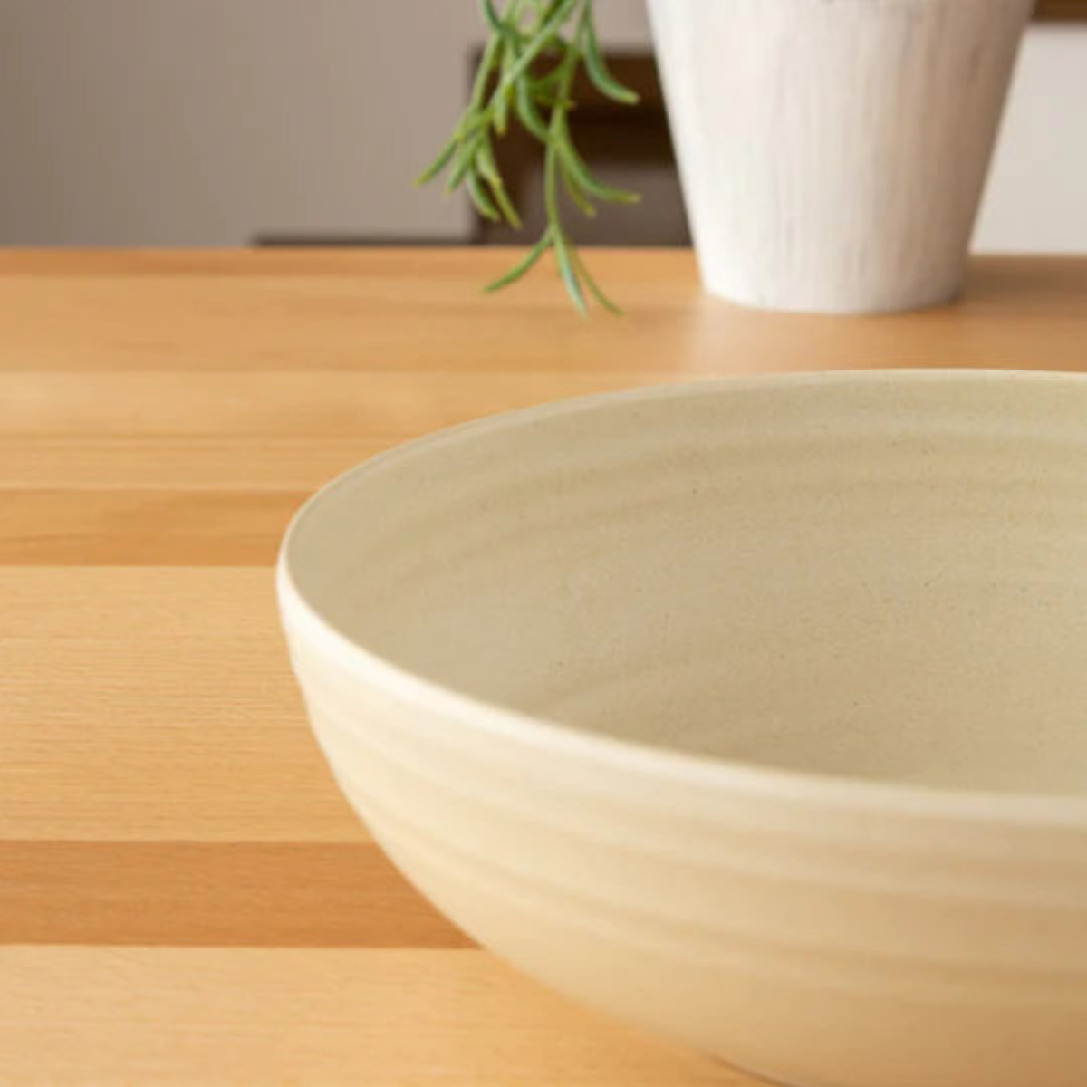 ボウル 20cm Planta プランタ プラスチック （ 食洗機対応